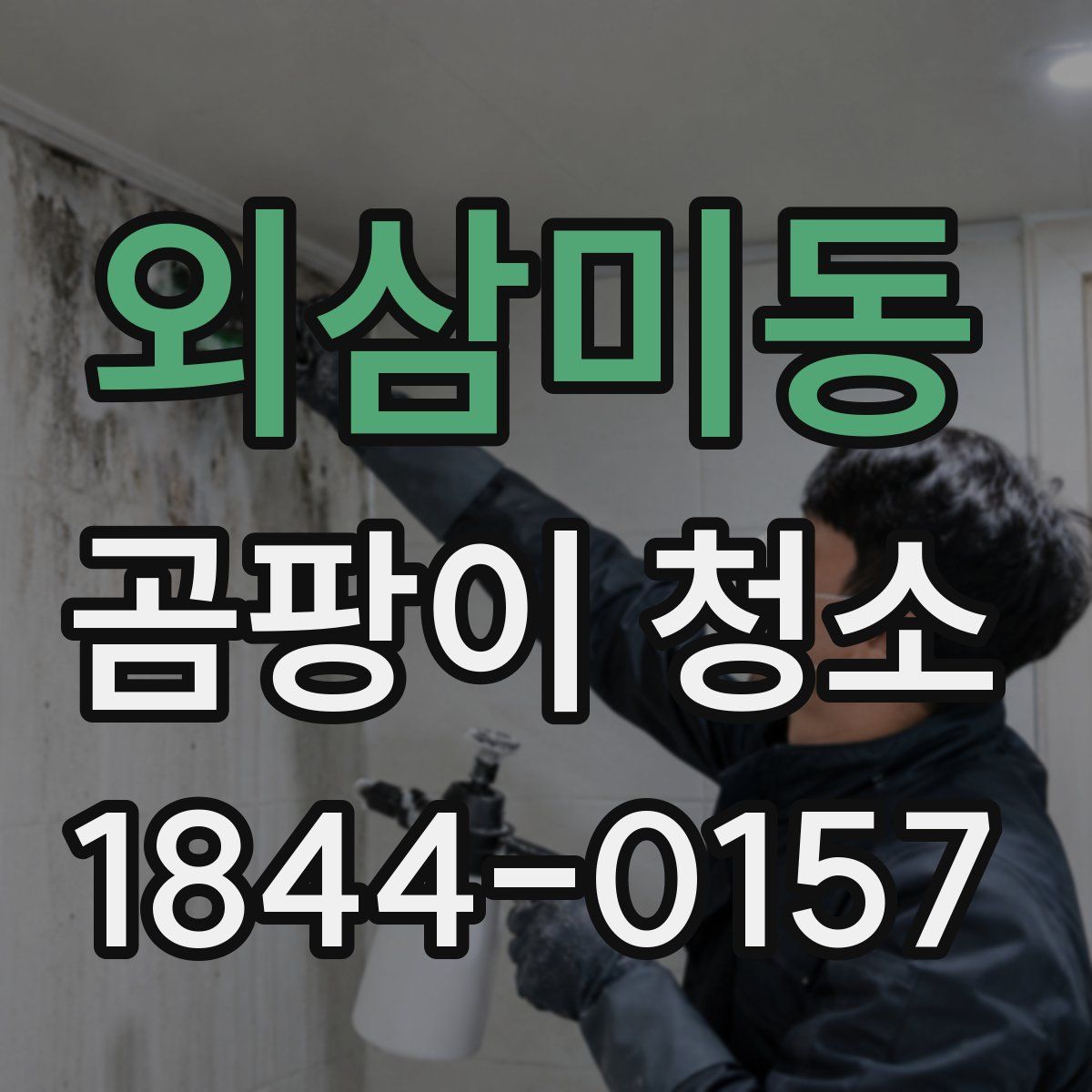 외삼미동 곰팡이 청소