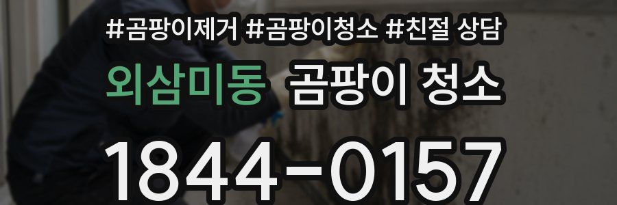 외삼미동 곰팡이 청소