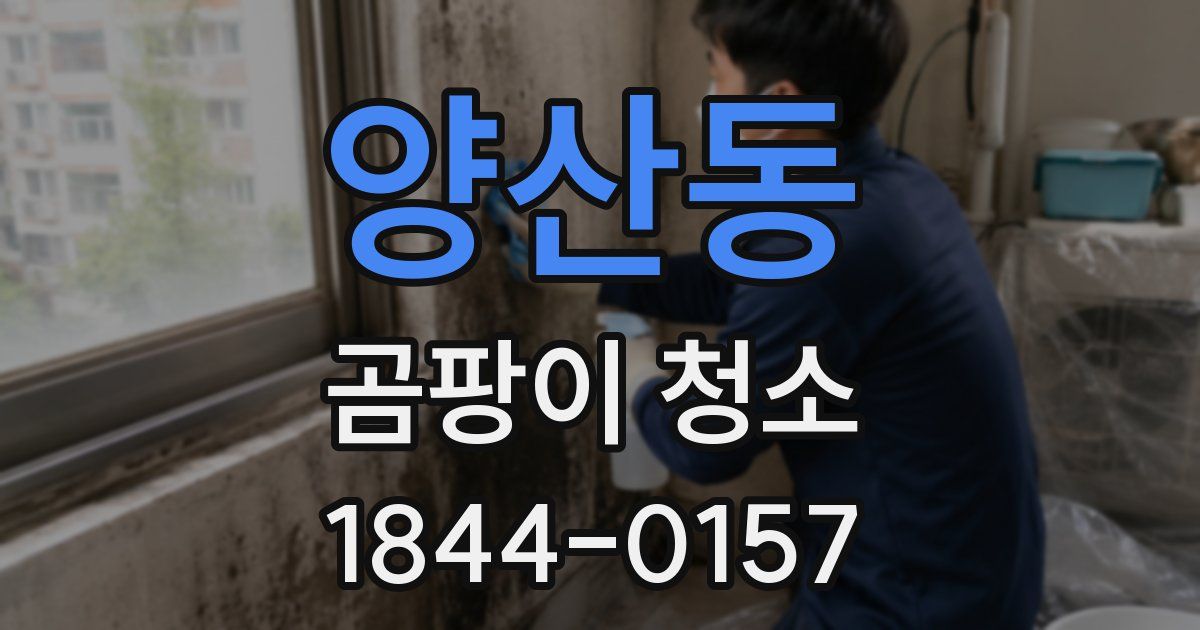 양산동 곰팡이 청소