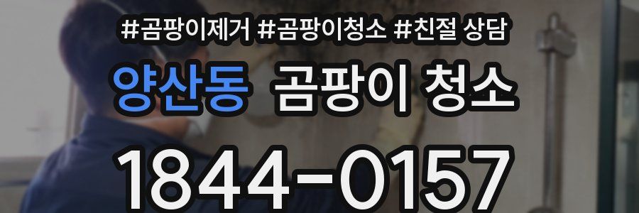 양산동 곰팡이 청소