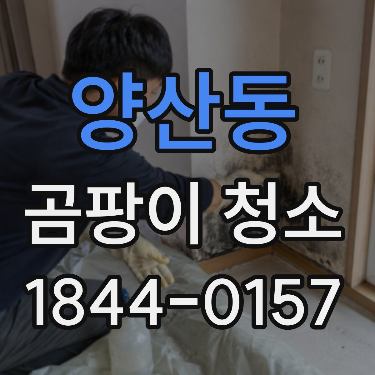 양산동 곰팡이 청소