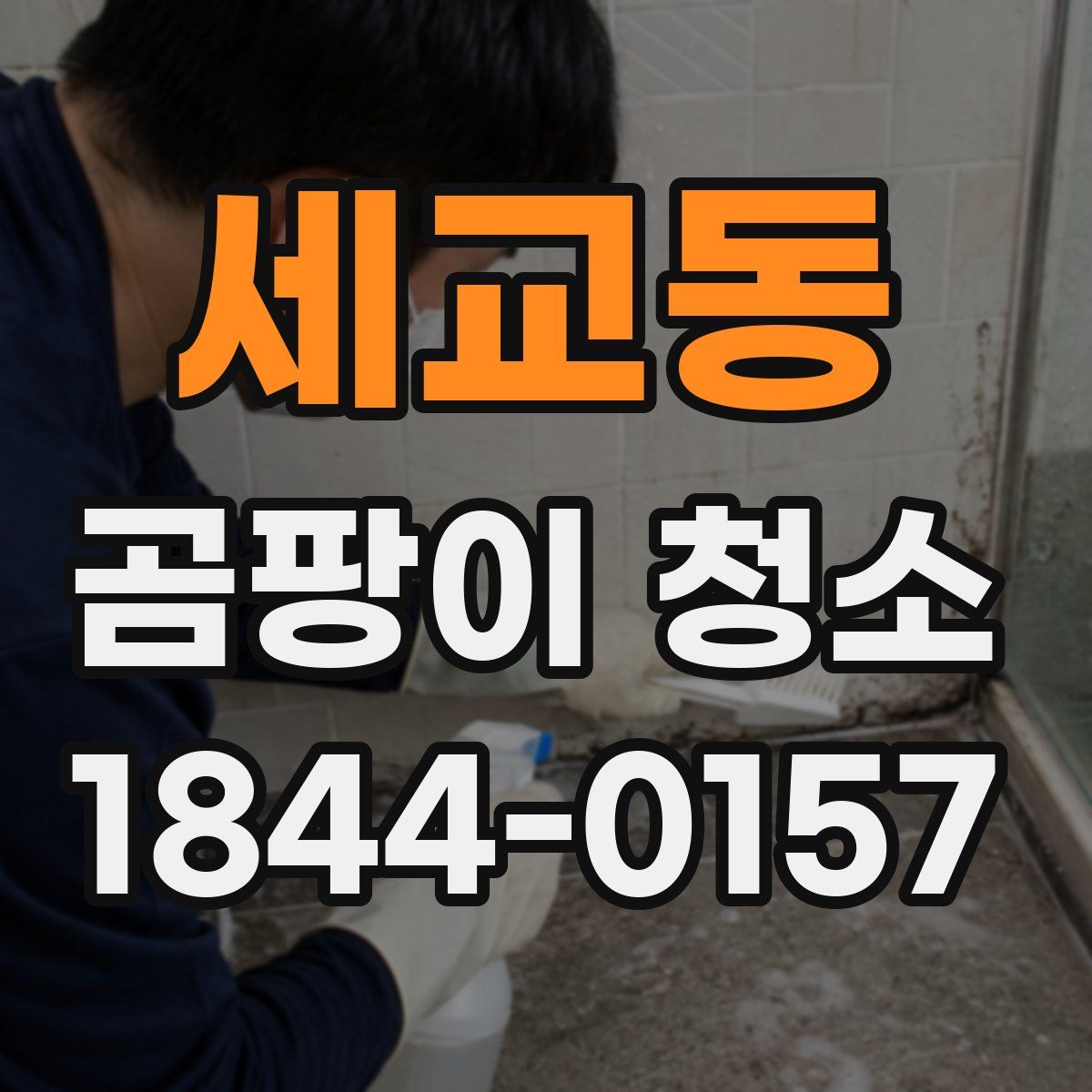 세교동 곰팡이 청소