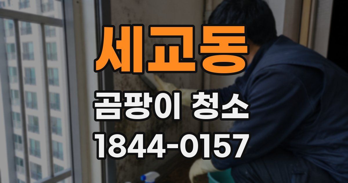 세교동 곰팡이 청소