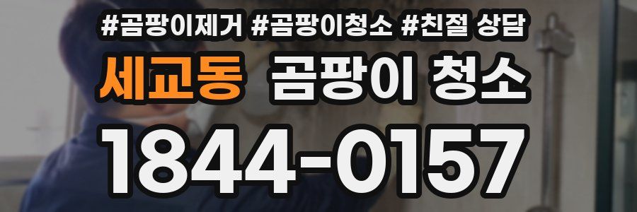 세교동 곰팡이 청소