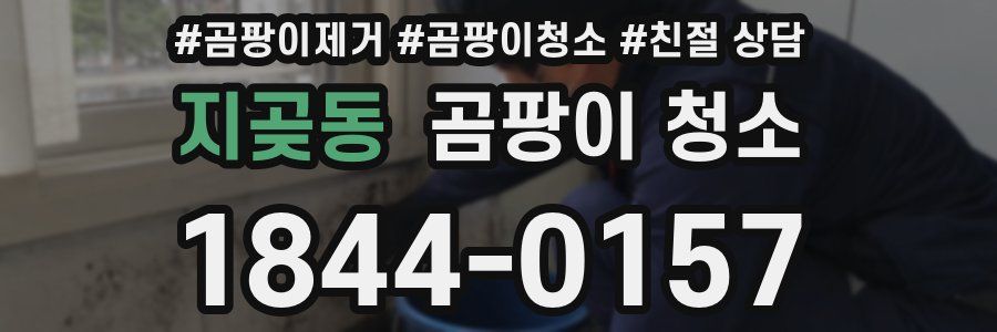 지곶동 곰팡이 청소