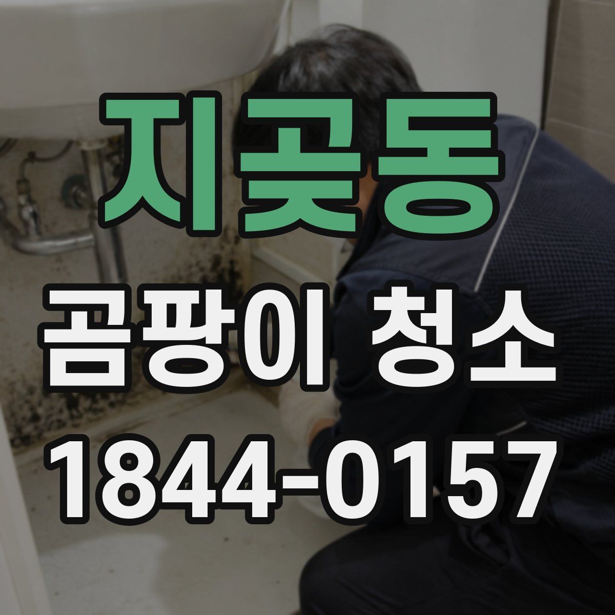 지곶동 곰팡이 청소