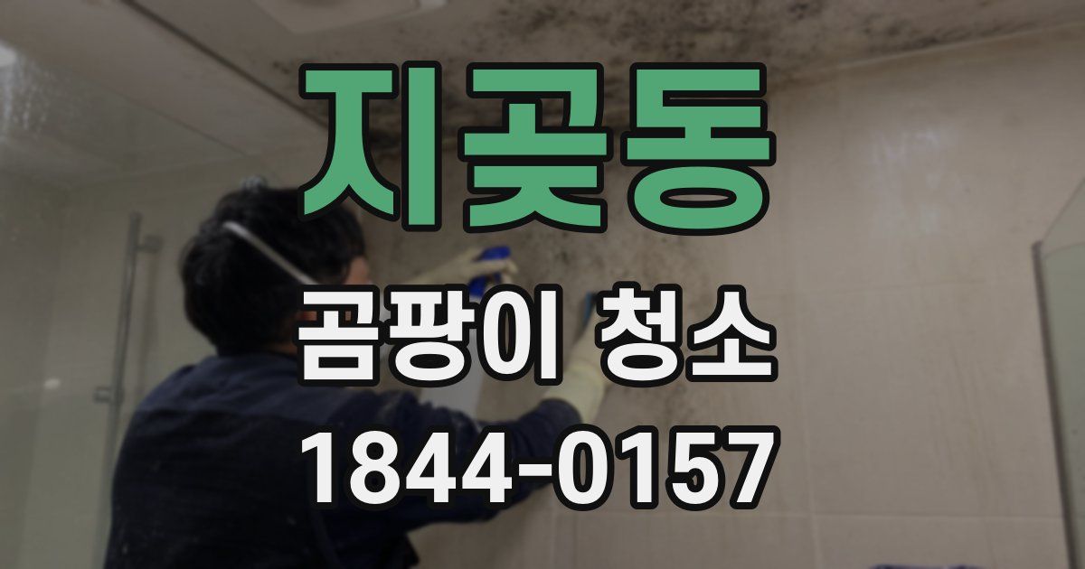지곶동 곰팡이 청소