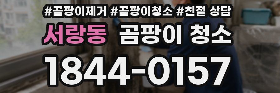 서랑동 곰팡이 청소