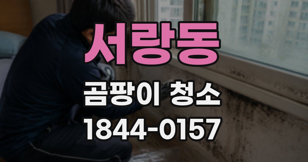 서랑동 곰팡이 청소
