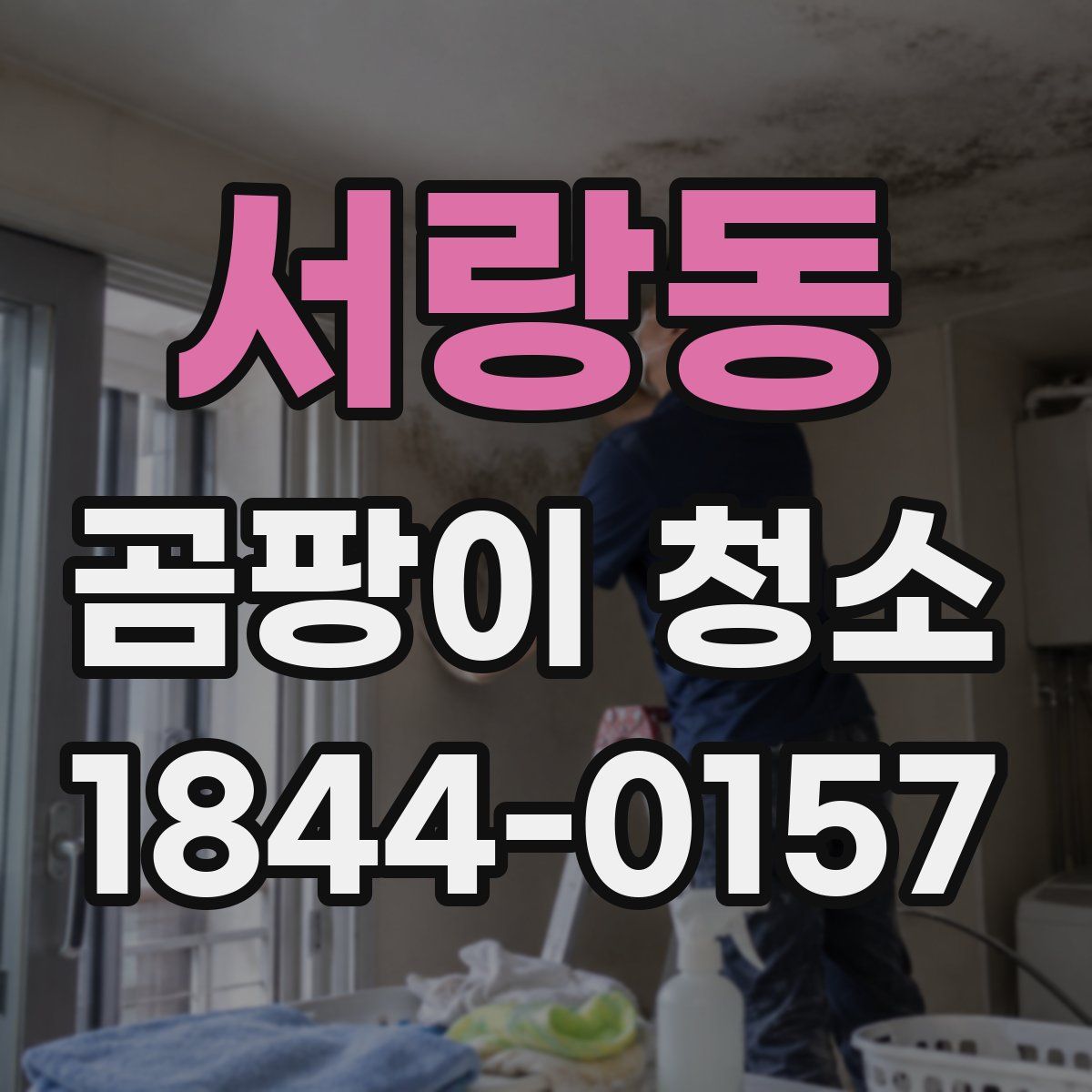 서랑동 곰팡이 청소