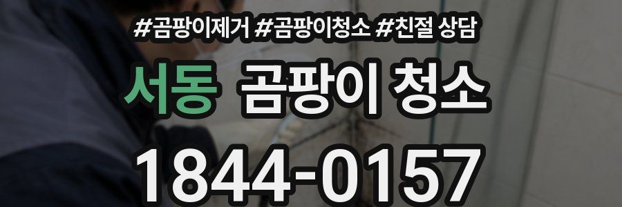 서동 곰팡이 청소