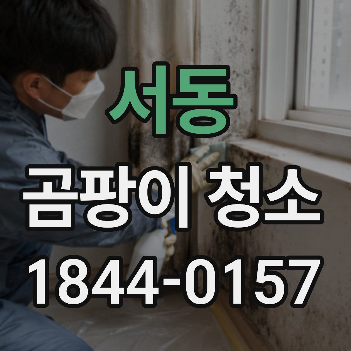 서동 곰팡이 청소