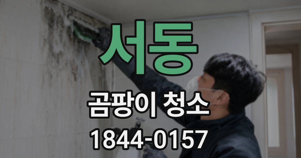 서동 곰팡이 청소