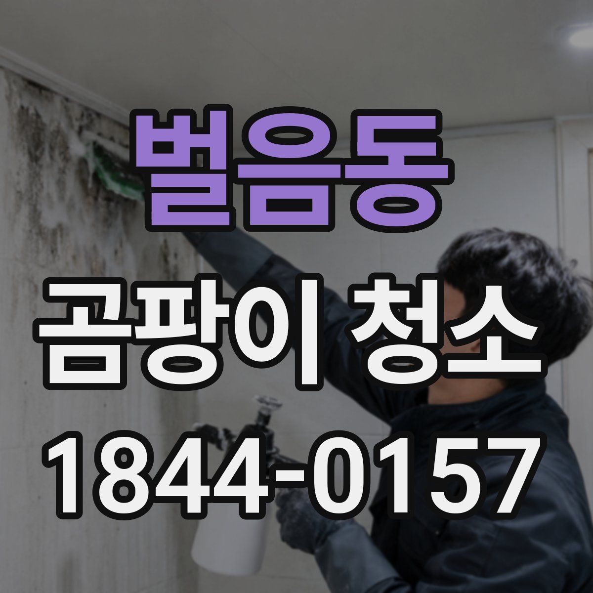 벌음동 곰팡이 청소