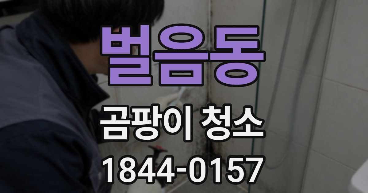 벌음동 곰팡이 청소
