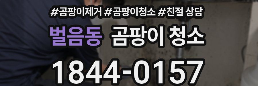 벌음동 곰팡이 청소