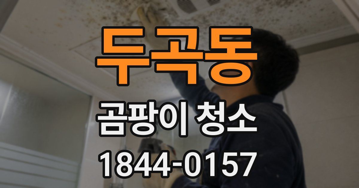 두곡동 곰팡이 청소