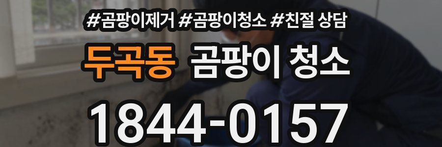 두곡동 곰팡이 청소