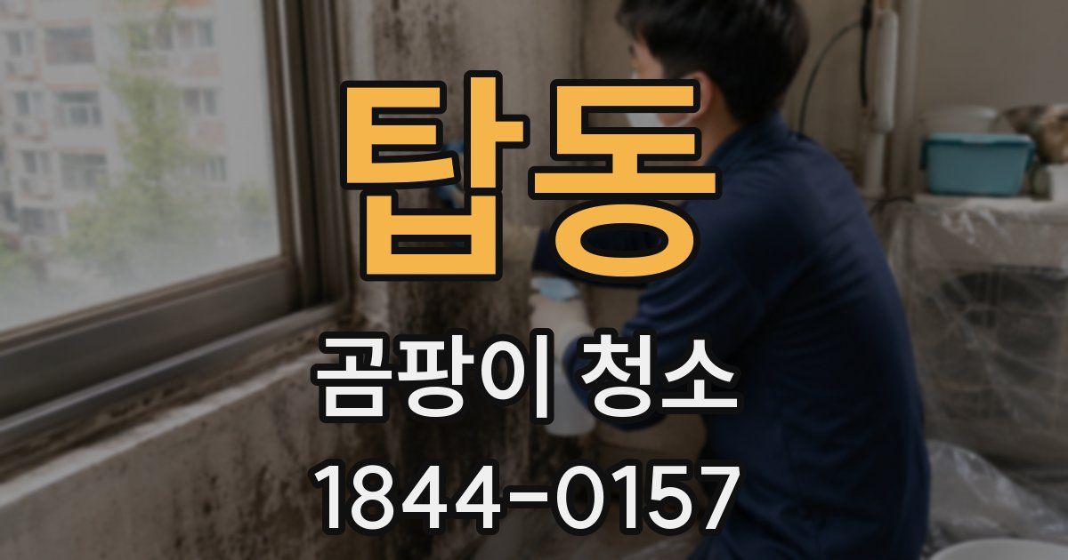 탑동 곰팡이 청소