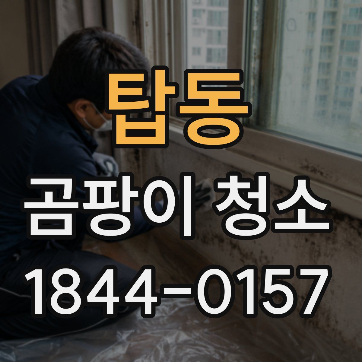 탑동 곰팡이 청소