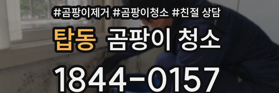 탑동 곰팡이 청소