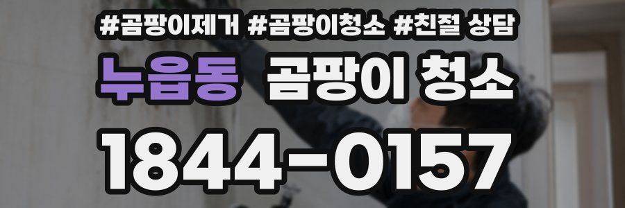 누읍동 곰팡이 청소