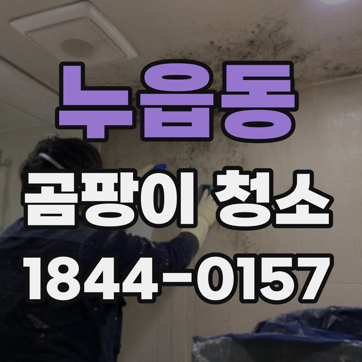 누읍동 곰팡이 청소