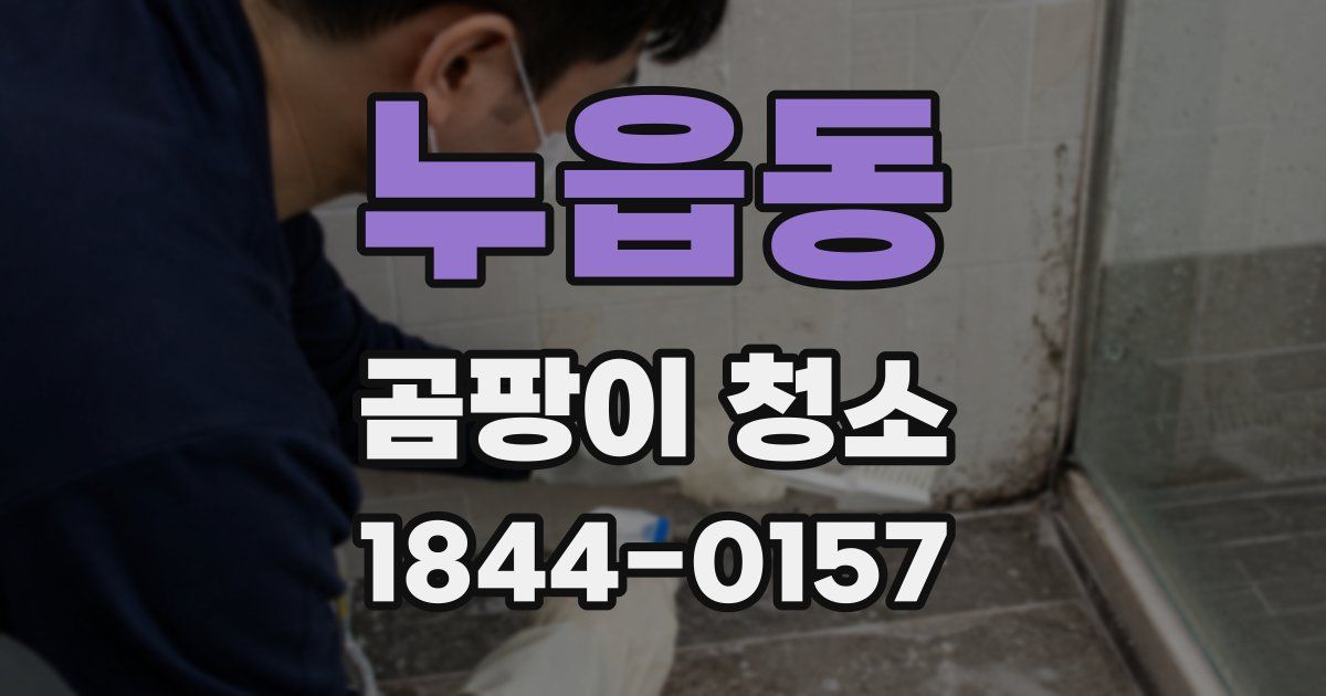 누읍동 곰팡이 청소