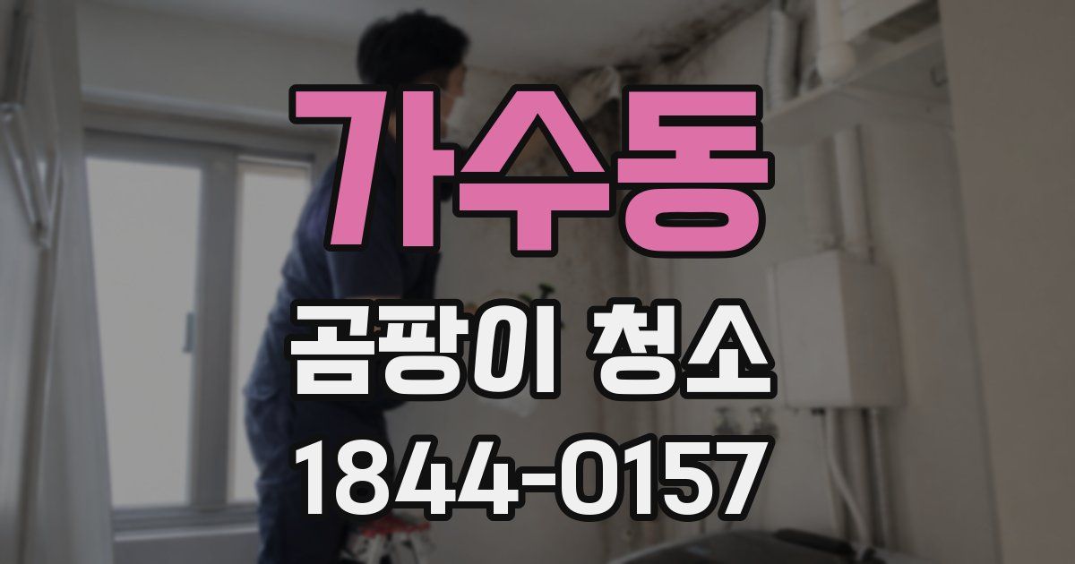 가수동 곰팡이 청소