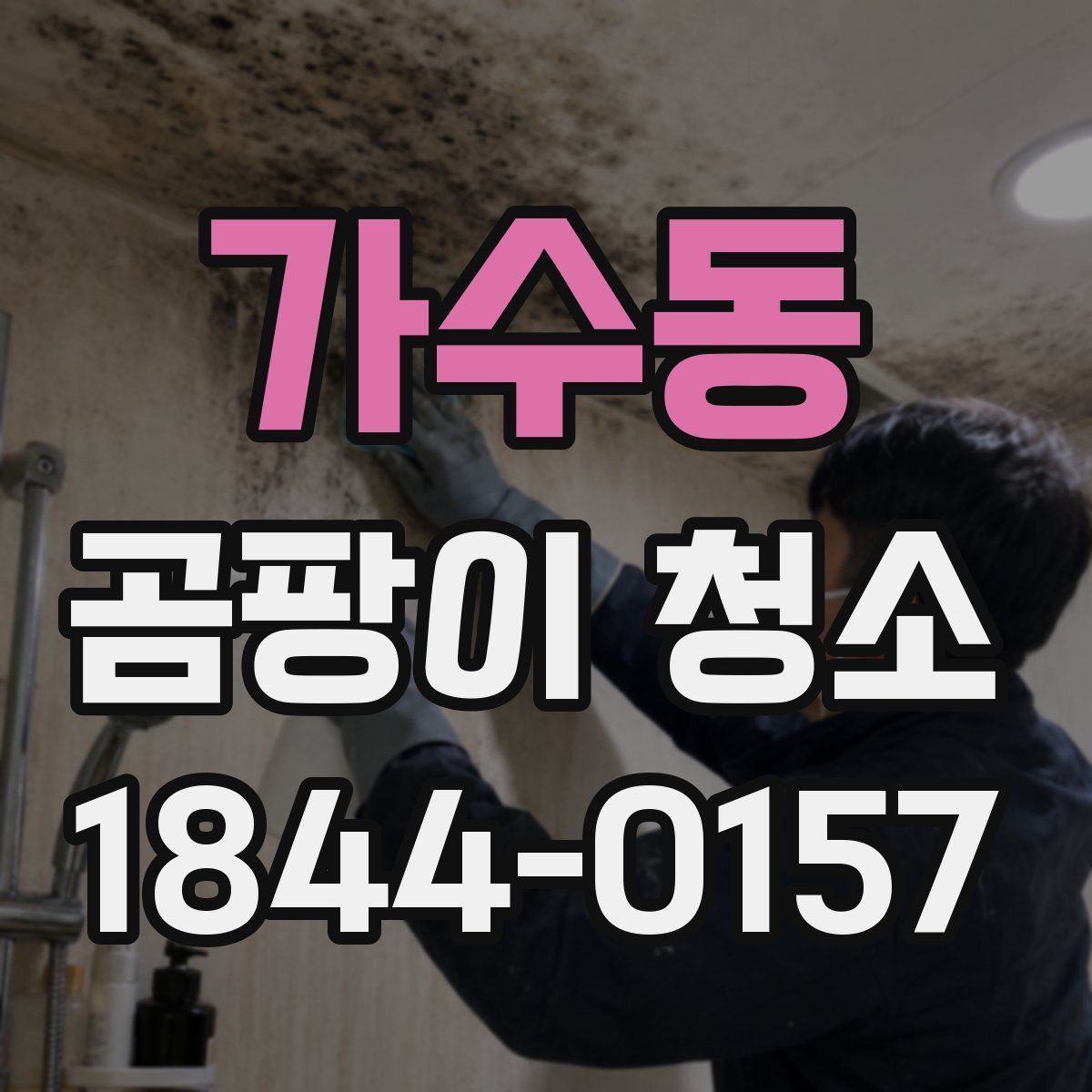 가수동 곰팡이 청소
