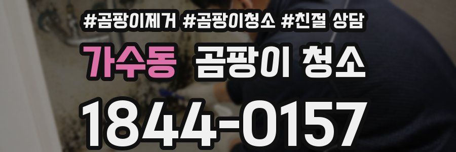 가수동 곰팡이 청소