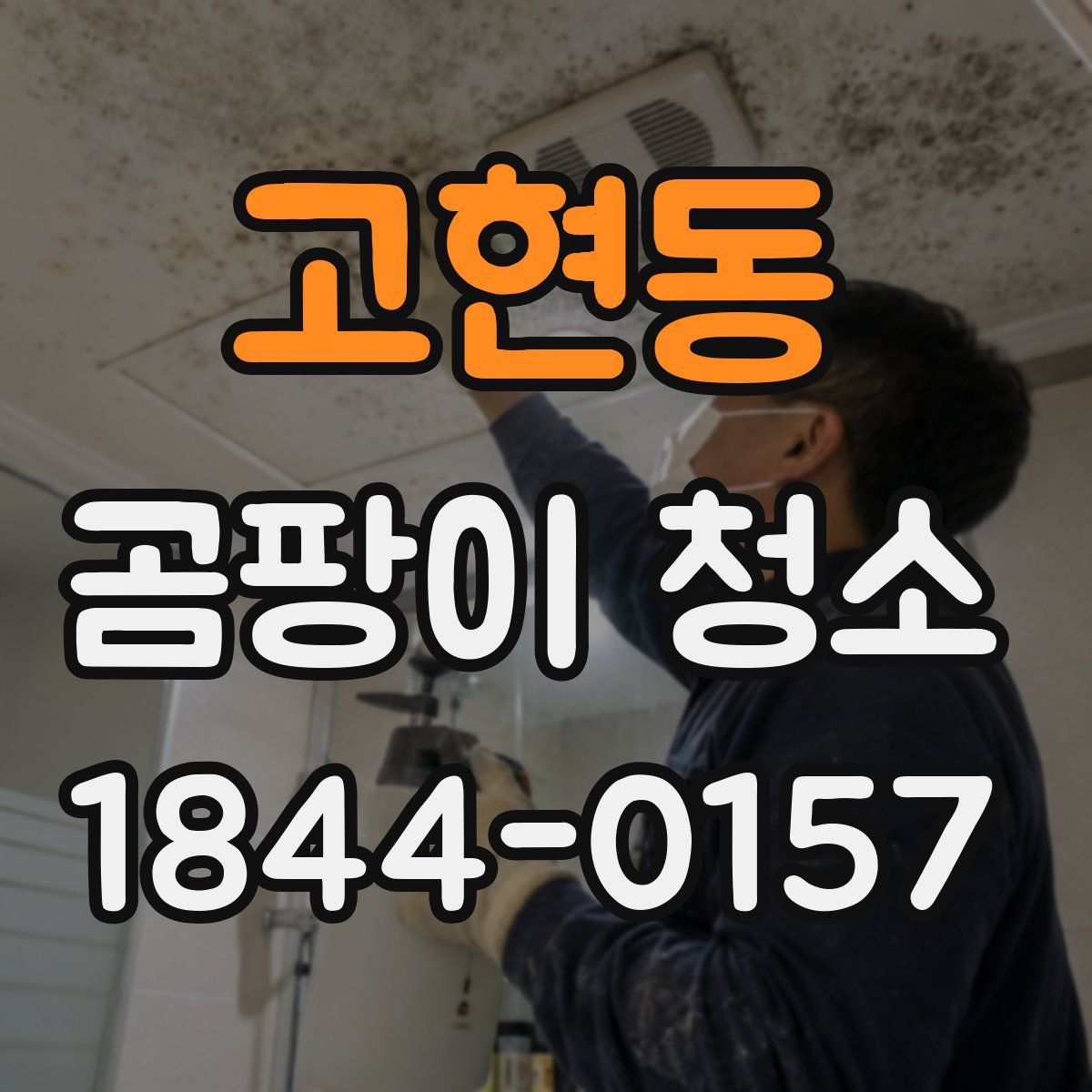고현동 곰팡이 청소