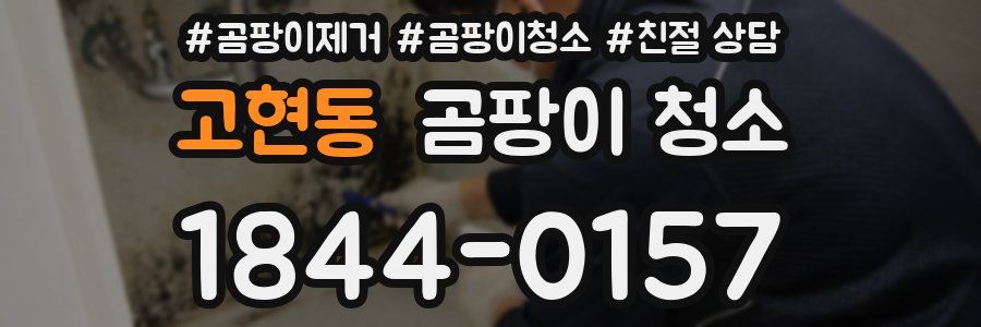 고현동 곰팡이 청소