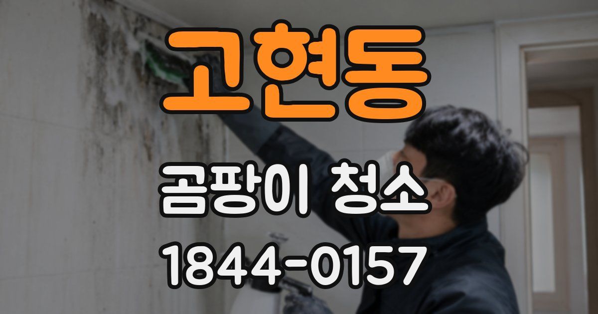 고현동 곰팡이 청소