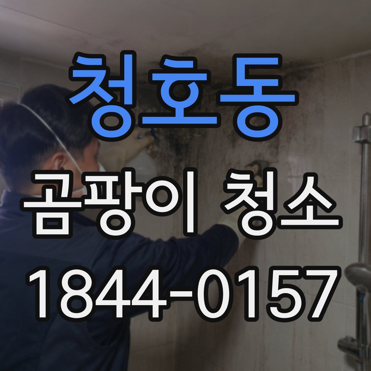 청호동 곰팡이 청소