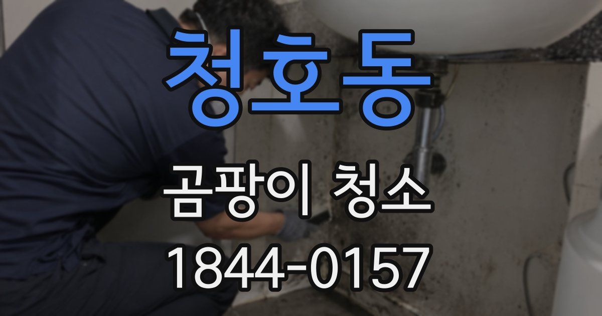 청호동 곰팡이 청소