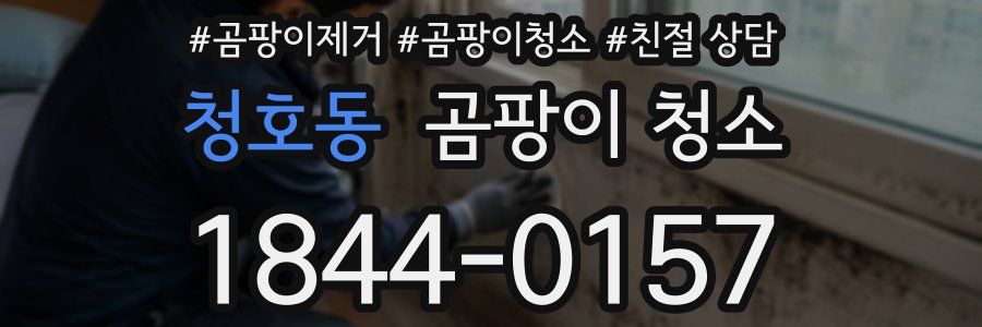 청호동 곰팡이 청소