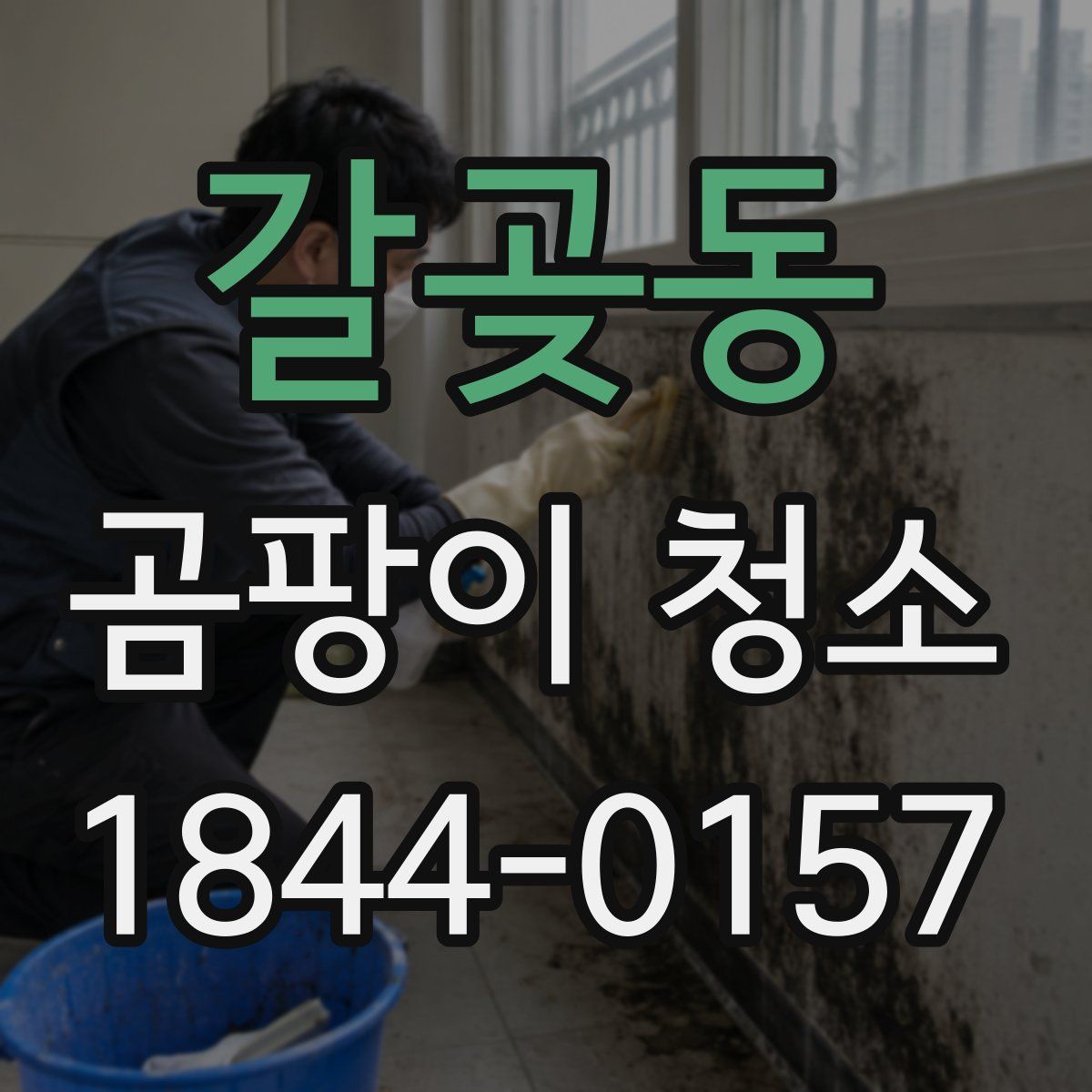갈곶동 곰팡이 청소