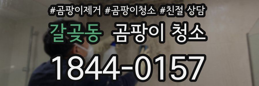 갈곶동 곰팡이 청소