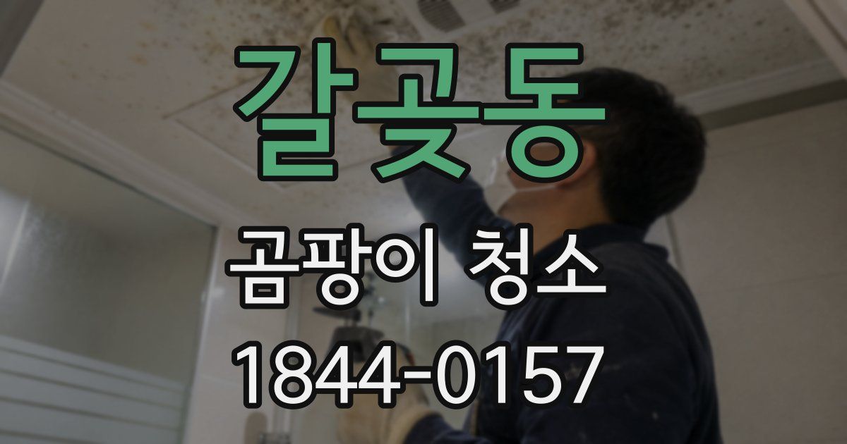 갈곶동 곰팡이 청소