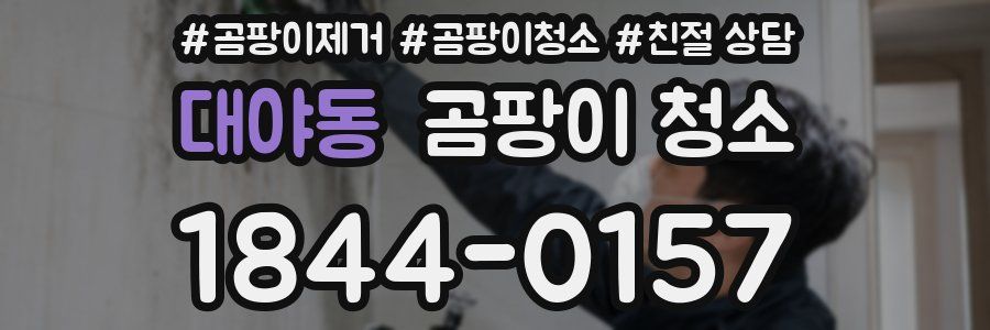 대야동 곰팡이 청소