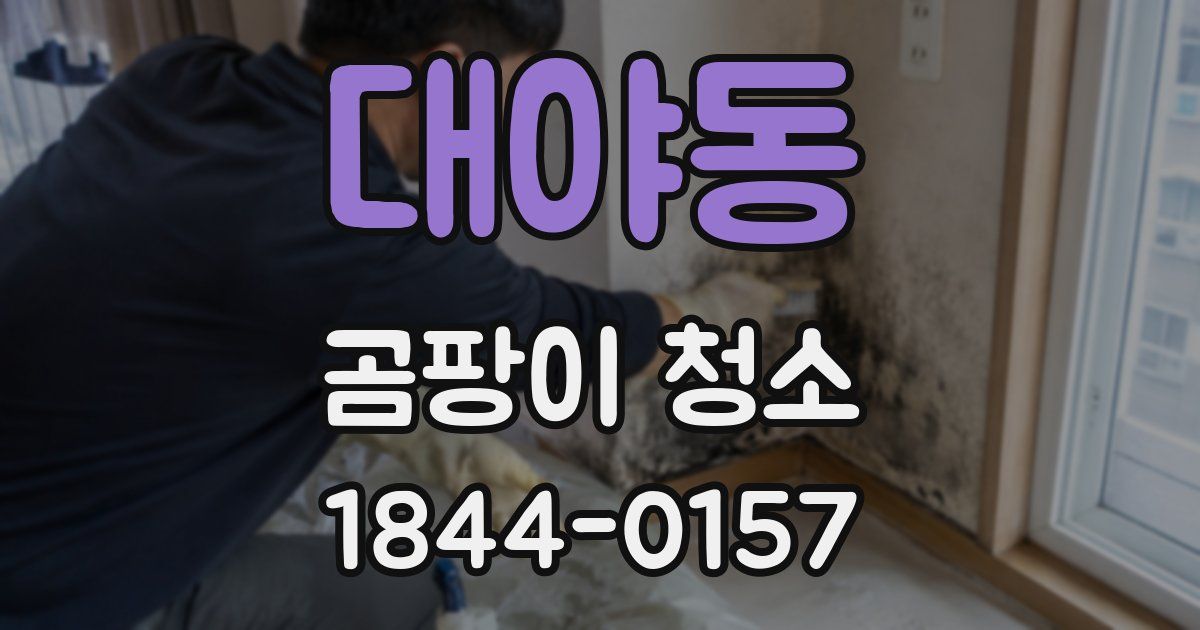 대야동 곰팡이 청소