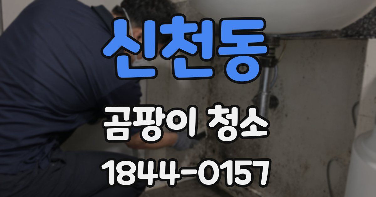 신천동 곰팡이 청소