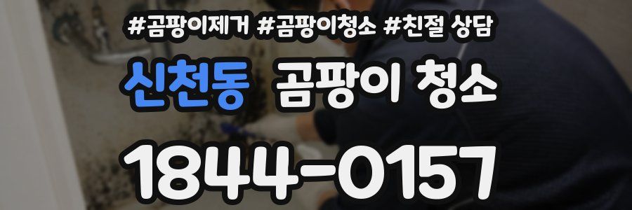 신천동 곰팡이 청소