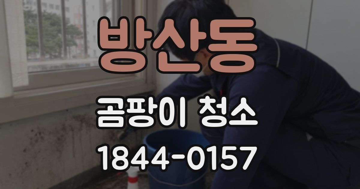 방산동 곰팡이 청소