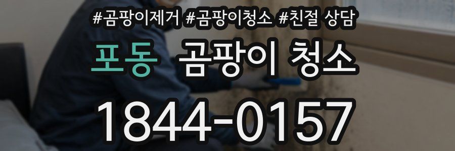 포동 곰팡이 청소