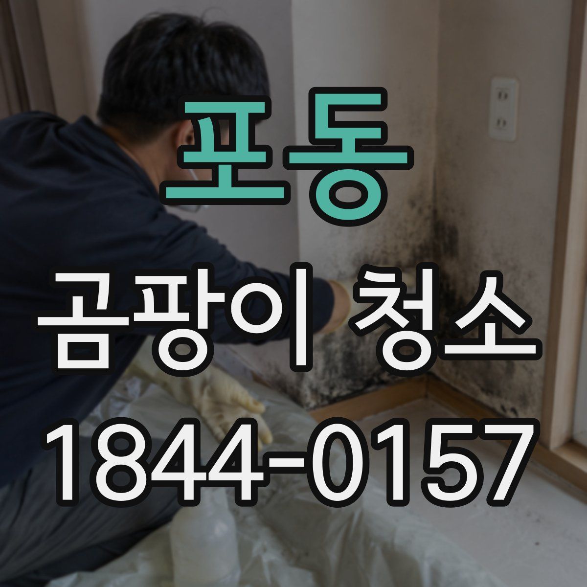 포동 곰팡이 청소