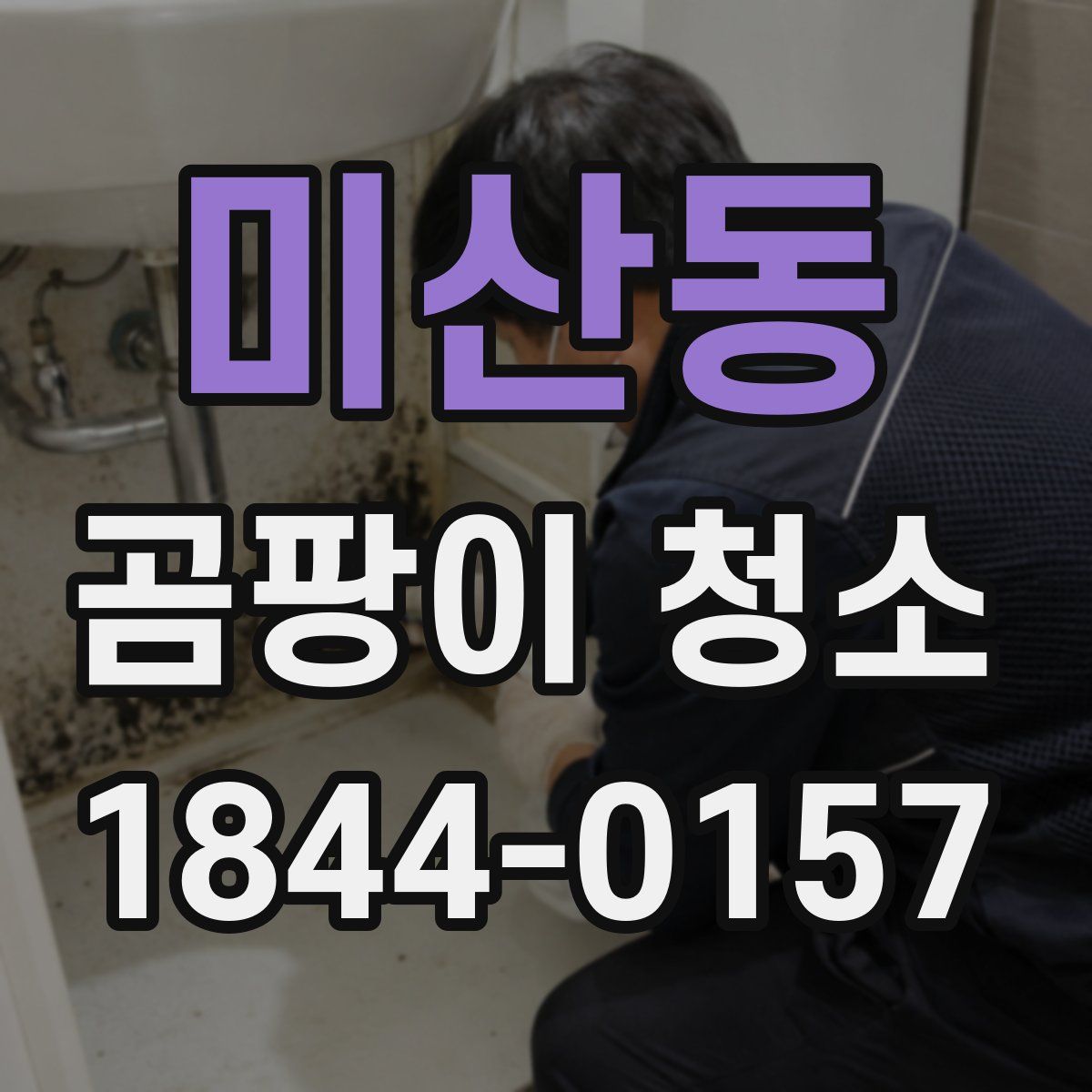 미산동 곰팡이 청소