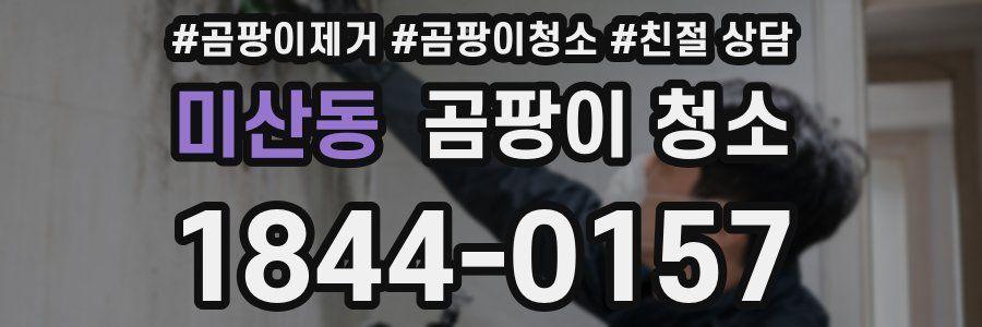 미산동 곰팡이 청소