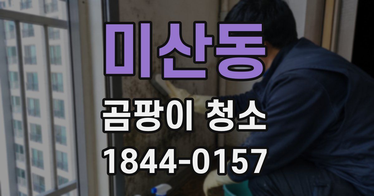미산동 곰팡이 청소